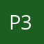 Pj 313