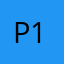 Poni 13