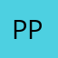 Ppyy0308