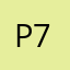 Private Person 789