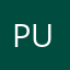 Pu22led_2