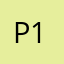 Puce 17