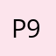 Pudel 95