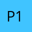 Pudgy 12
