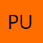 Pudi3