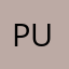 Puenspn