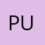 Puertopunk