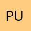 Pugjun