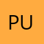 Pulsar-