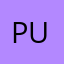 Pumaixin