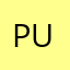 PunSolo