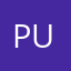 Punitive1111