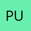 PunkinMrt