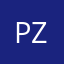 Punky Z
