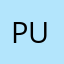 Punnyong