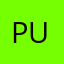 Pupansa