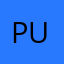 Purcho1