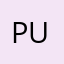 PurpleBat11037