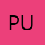 Pusaanindia