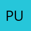 Pushedtolimit