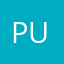 Pushistiki