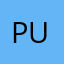 Putaindlappli