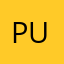 Putniy