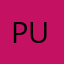 PuzlLover