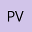 PvrpleTvrtle