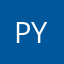 Pyntngen