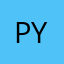 Pyrite79