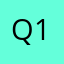 Q1(1)q