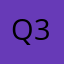 Q313Q
