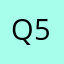 Q5_M1
