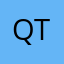 Quandale dingle turtle