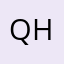Quant-hv