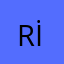 R. Orkun İLERİ