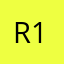 R1inMs