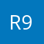 R954H