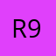 R9N21