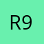 Rafael 9118
