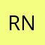 Ramesh R N