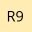 Random Reviewer 96