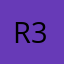 Rater 300