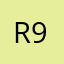 Rayne-95