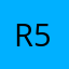 Reis 55