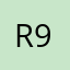 Ricelaw 911