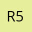 Roshini G 5