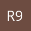 Ry-910831