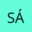 Sánchez1241